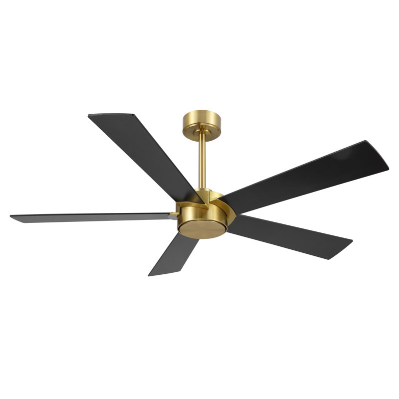 Ventilateur de plafond 54 po x 5 po en contreplaqué avec moteur à courant continu réversible et silencieux, noir et or, Doré