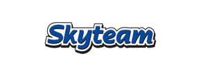 Logo Skyteam Technology