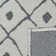 Crownover Southwestern Cotton Hand Woven Area Rug
