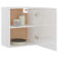 Lyon Hanging Cabinet Lyon-445973370