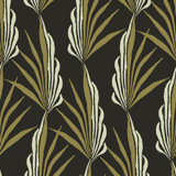 Areca Palm - Wallpaper