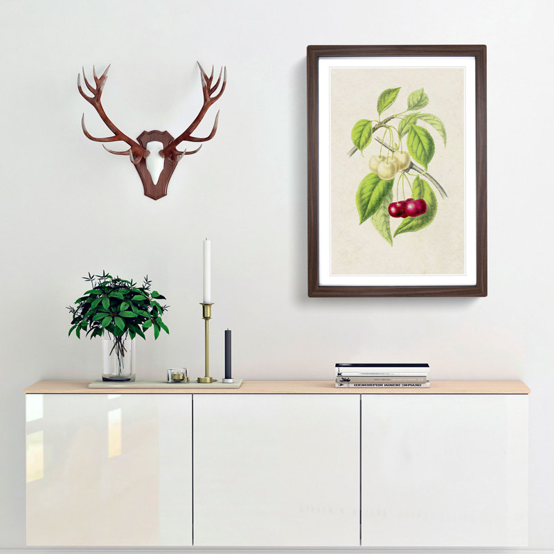 Illustration of Cherries - Framed Print, 48cm H x 36cm W x 2cm D, Walnut Framed