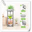 Support pour plante Almandine