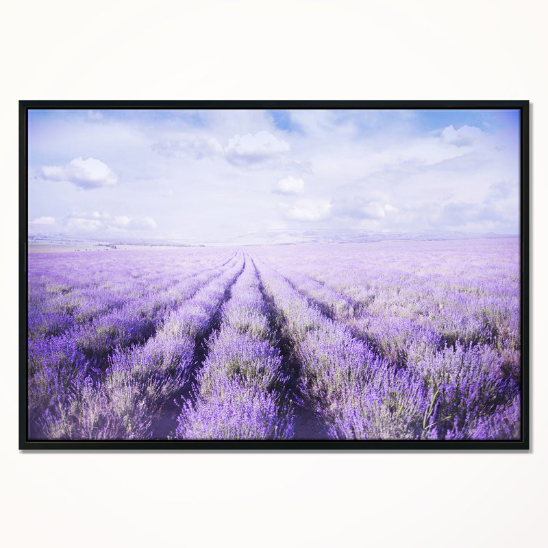 «Fields of Lavender Against Blue Sky», reproduction de photo sur toile tendue, H 16 po x l 32 po x P 1 po, Cadre noir