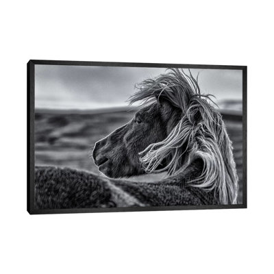 Glance Back by Sunny Ding - Print on Canvas