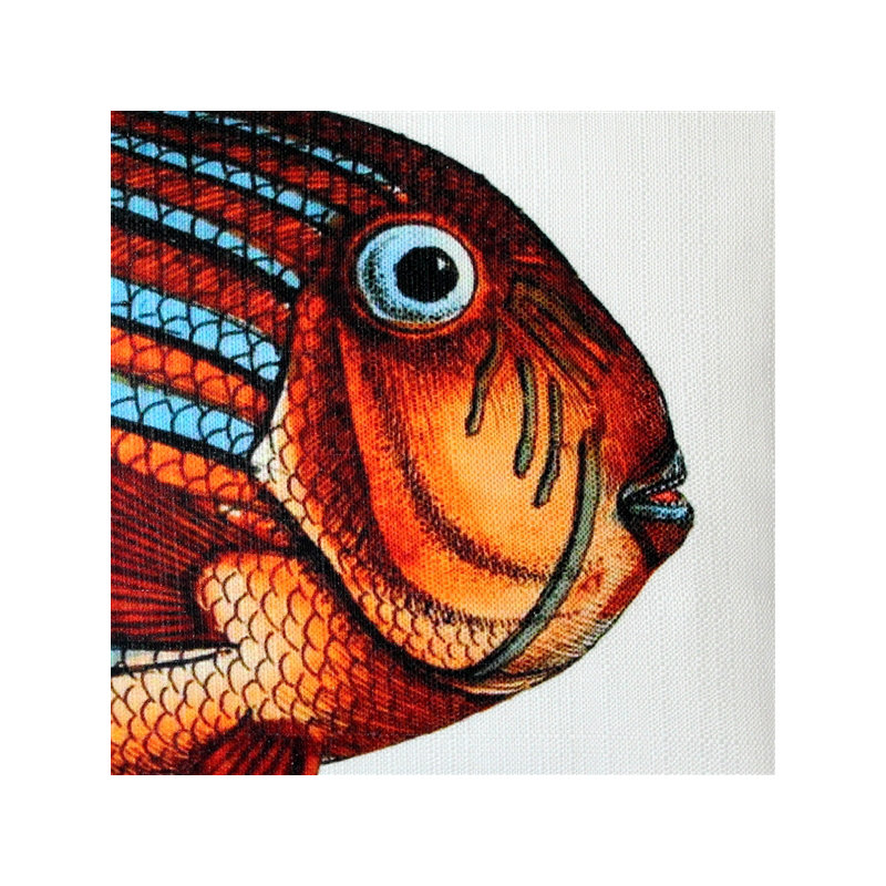 Coussin lombaire intérieur / extérieur Surgeonfish Fish