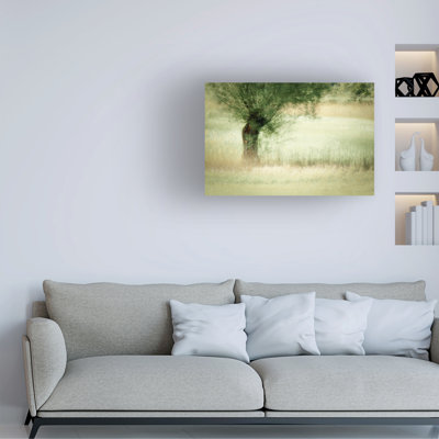 Contemporary