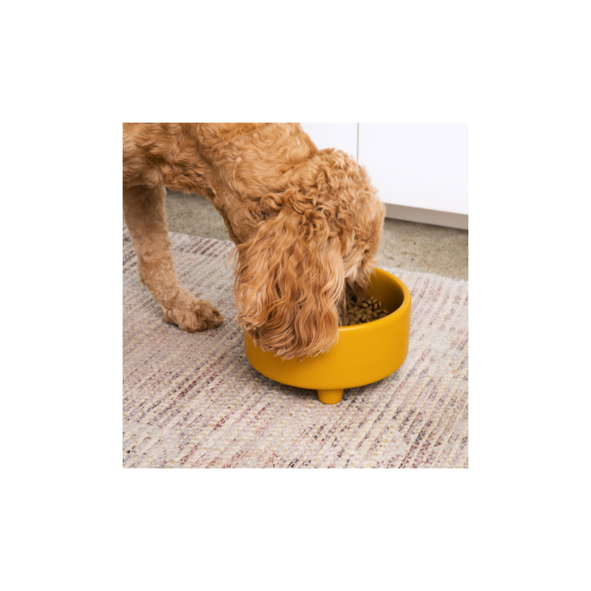 Uplift Ceramic Dog Bowl, Mustard, Large (8 cups / 64 fluid oz)