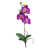 Orchid is out of stock