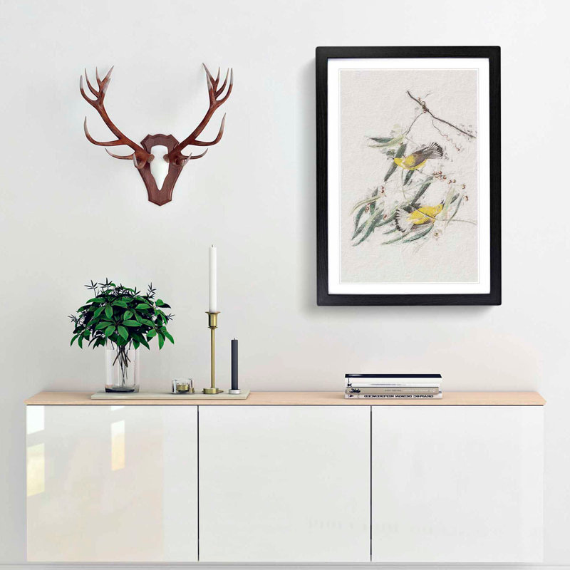 Prothonotary Warbler Birds by John Audubon - Picture Frame Painting Print, 36cm H x 27cm W x 2cm D, Black Framed