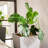 Pot Planter-1456583733