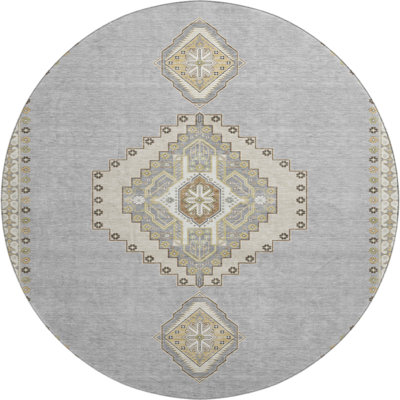 Premium Machine Washable Colmenero AMF1014 Oriental Rug