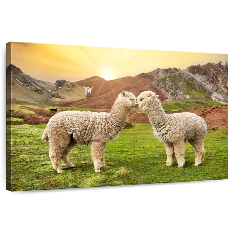 Brampt Colors Of Peru - Alpaca Love, 26" H x 39" W