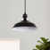 Aparajita 16.4 FT. Cord 1 - Light Plug In Pendant Light With On/Off Dimmer Switch