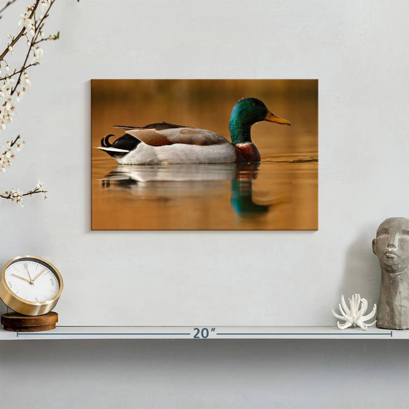Brampt Bathing Mallard Duck, 8" H x 12" W