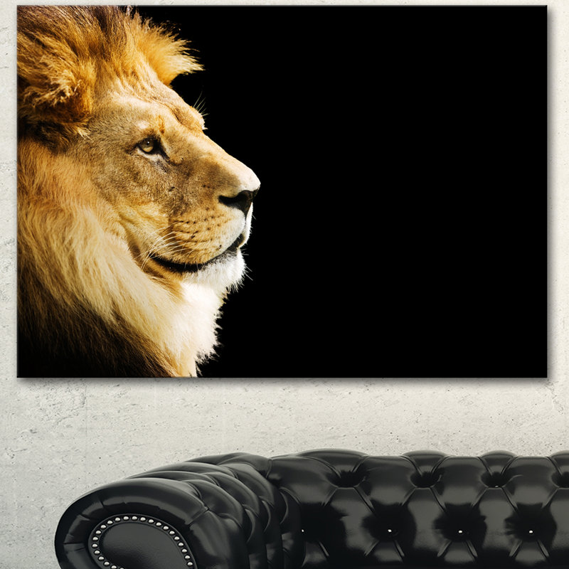 « large lion portrait on black », impression sur toile tendue, H 8 po x l 12 po