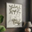 Sepia Botanical Journal VI Framed Print - Solid Wood-383357816