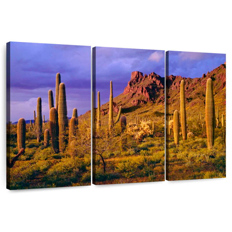 Harnek Arizona Cactus Plants, 24" H x 38" W