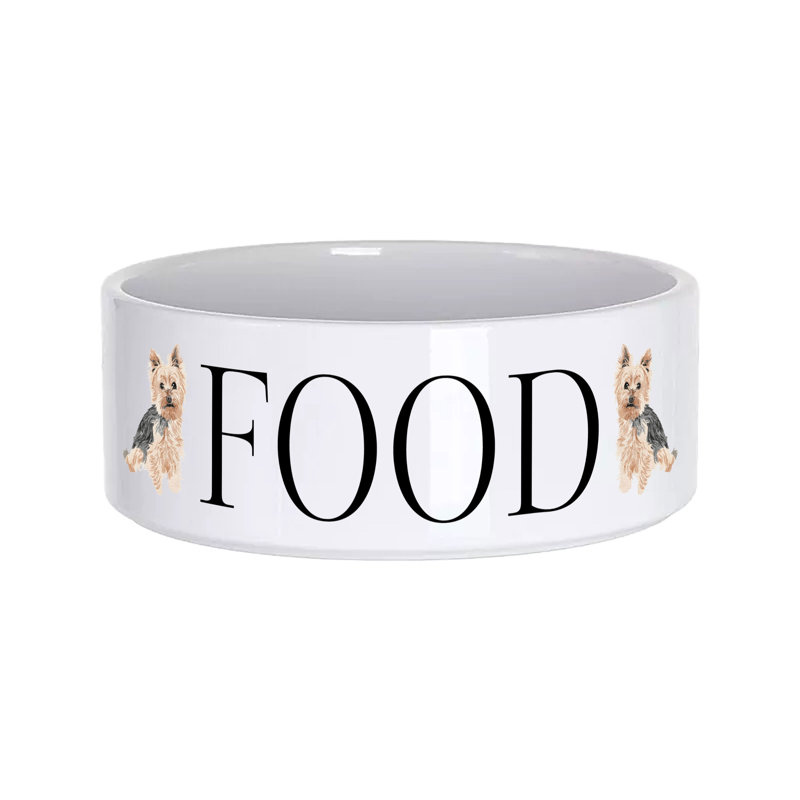 Vivid Squid Wholesale Ceramic / Porcelain Decorative Bowl 1