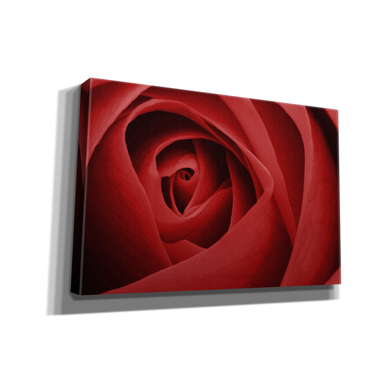 «Red Rose» par Tom Quartermaine, H 12 po x l 18 po x P 0,75 po