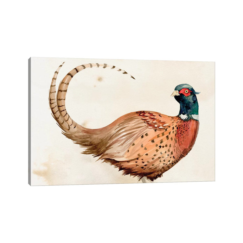Pheasantry I by Jennifer Paxton Parker - Wrapped Canvas Print, 45.72cm H x 66.04cm W x 1.905cm D