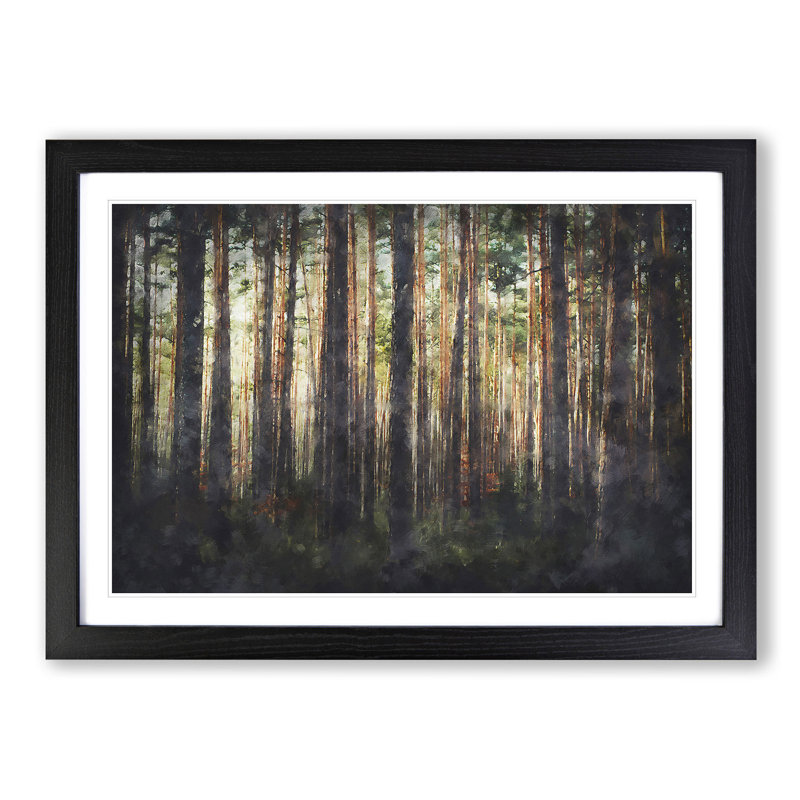 Pine Tree Forest In Spring - Single Picture Frame Print on MDF, 24cm H x 33cm W x 2cm D, Black