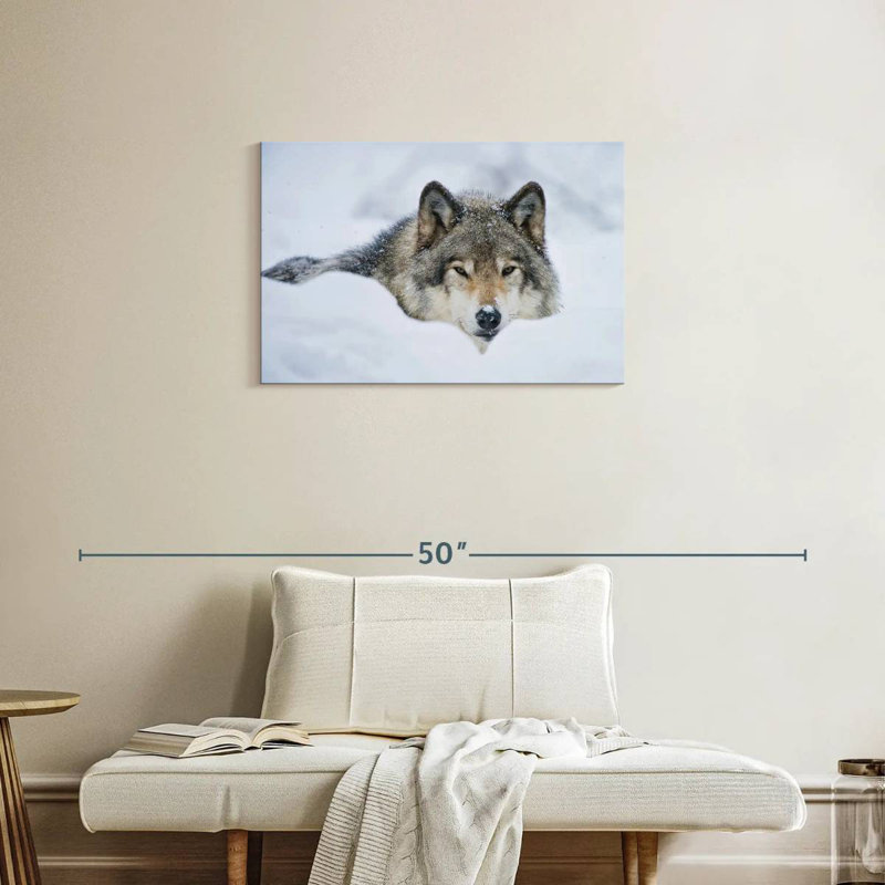 Loup Brampt dans la neige