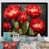 Black Single Picture Framed selected