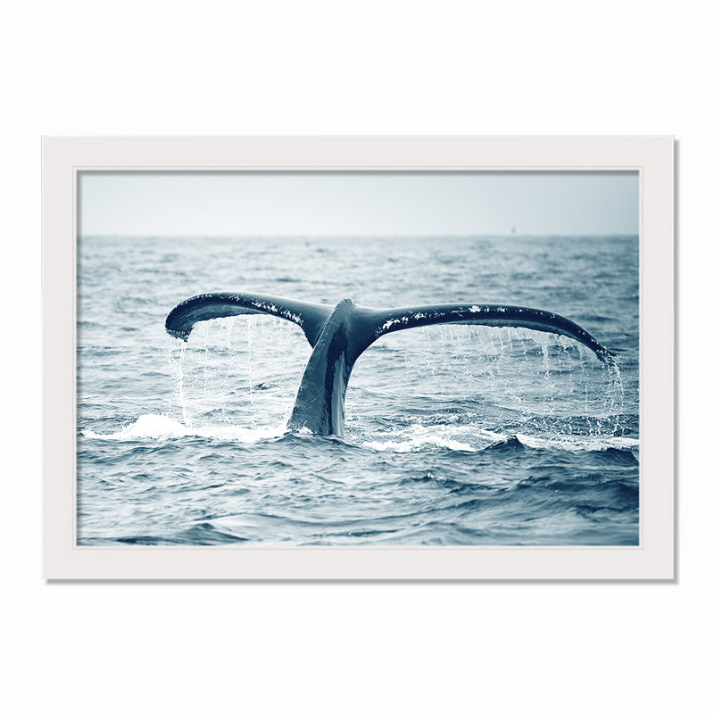 Queue de baleine - cadre photo