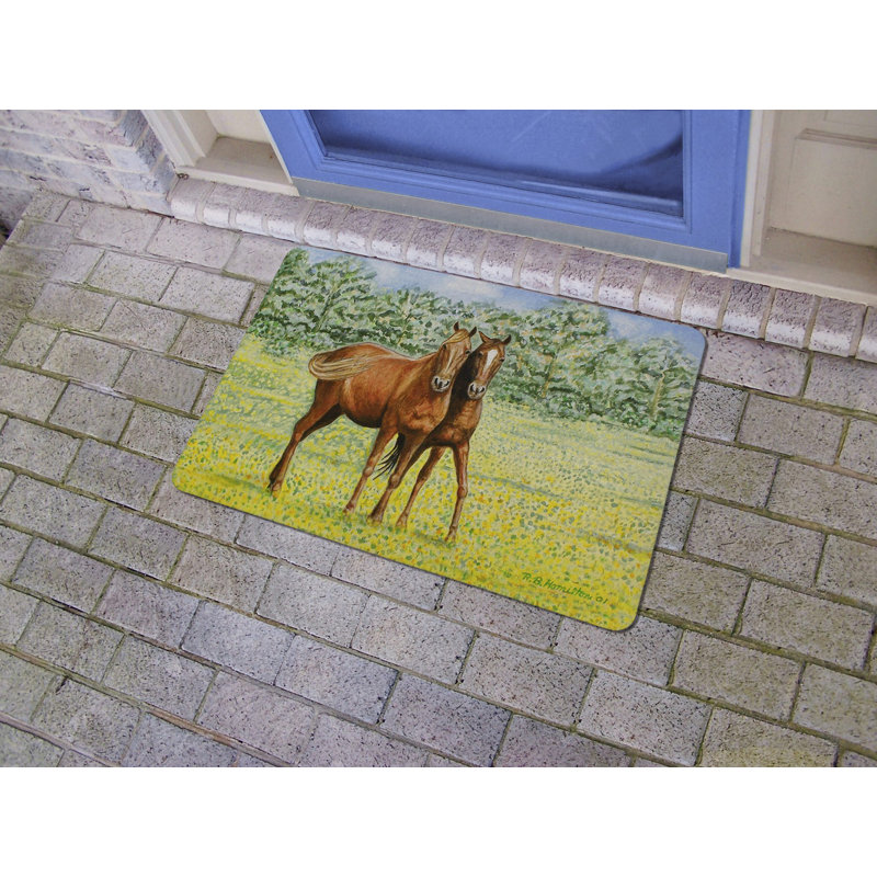 Tapis de porte antidérapant pour animaux de compagnie, Rectangle 1 pi 6 po x 2 pi 2 po