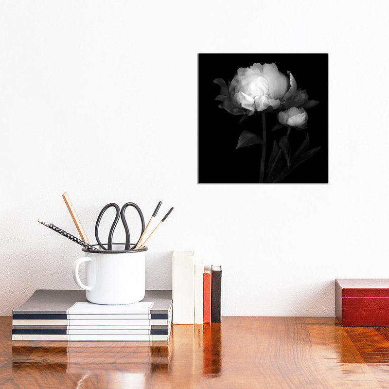 Peonies III by Magda Indigo - Wrapped Canvas Print, 30.48cm H x 30.48cm W x 1.91cm D
