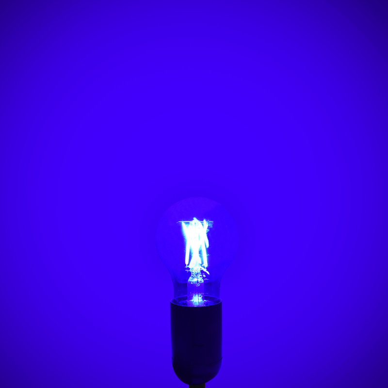 4,5 W (équivalent à 60 W), DEL A19, ampoule à intensité variable, culot moyen E26 (standard), Bleu