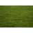 Handmade Green Gabbeh Area Rug 5x8