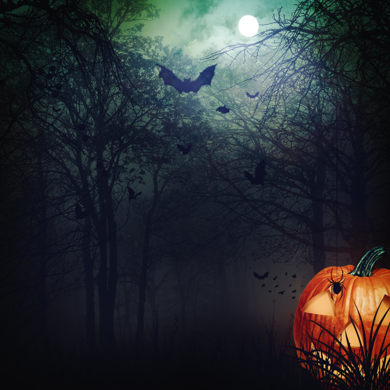 Halloween by Tolokonov - Wrapped Canvas Print, 51cm H x 51cm W