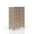 5 Drawer Door Chest