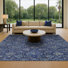 Blue/Navy