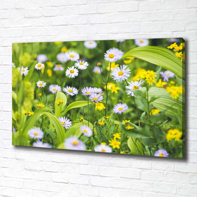Daisies - Wrapped Canvas Print
