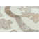 Seraphina Geometric Indoor Rug