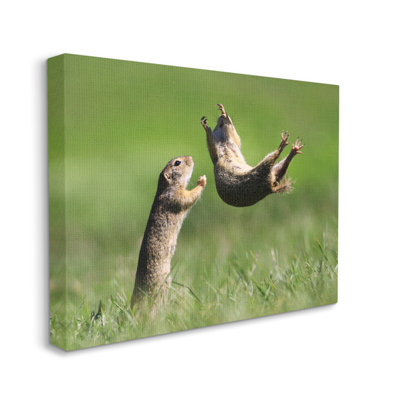 «Prairie Dogs», reproduction d'art sur toile par Roland Kranitz