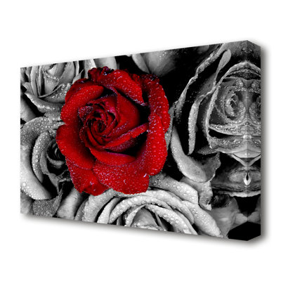Red Rose On A Sea Of B N W Flowers - Wrapped Canvas Print