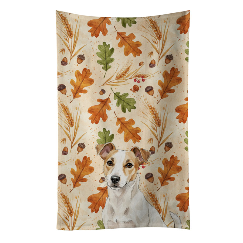 Blanc et brun clair Jack Russell Terrier Heirloom Fall, White and Tan Jack Russell Terrier