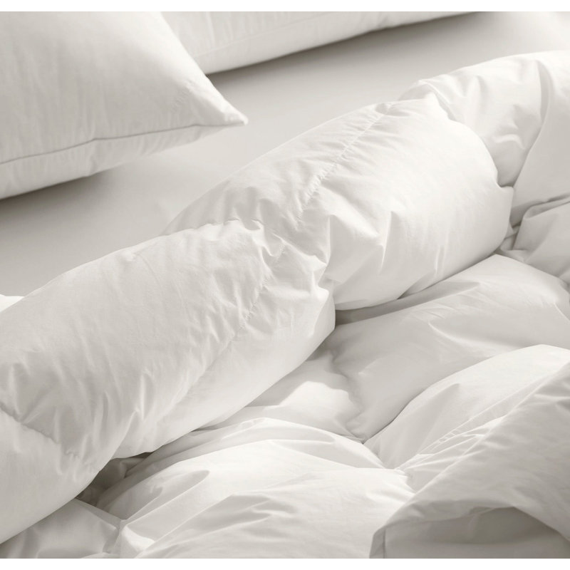 Down Alternative Duvet Insert, King, Winter