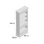 Knowles 198cm H x 86cm W Standard Bookcase