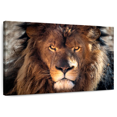 Tête de lion robuste