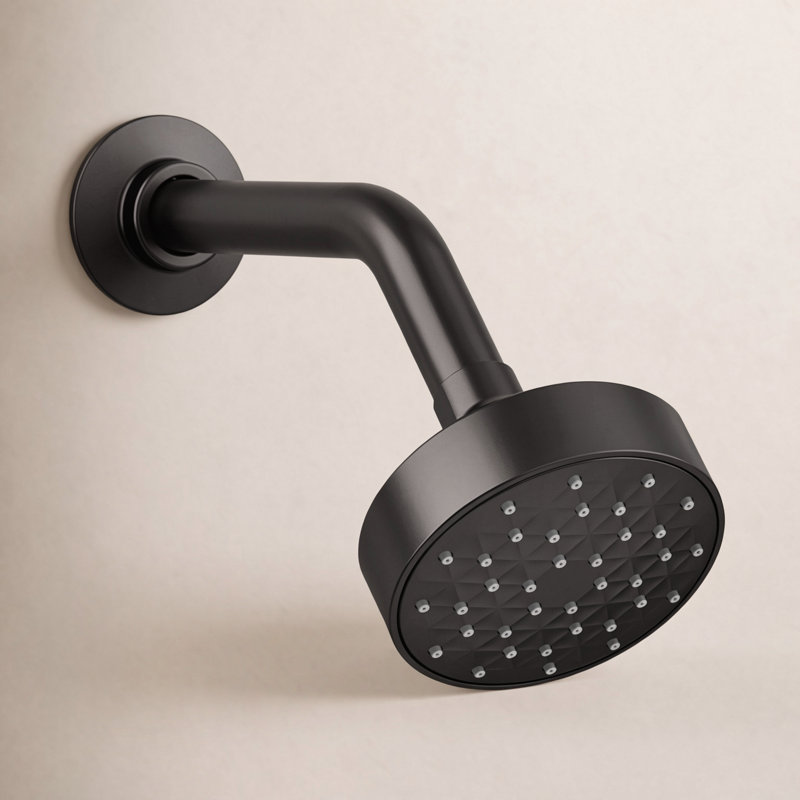 Pomme de douche à fonction double standard / standard Awaken G90, Noir mat,  1.75 GPM
