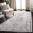 Aayran Performance Oriental Rug-1161763407