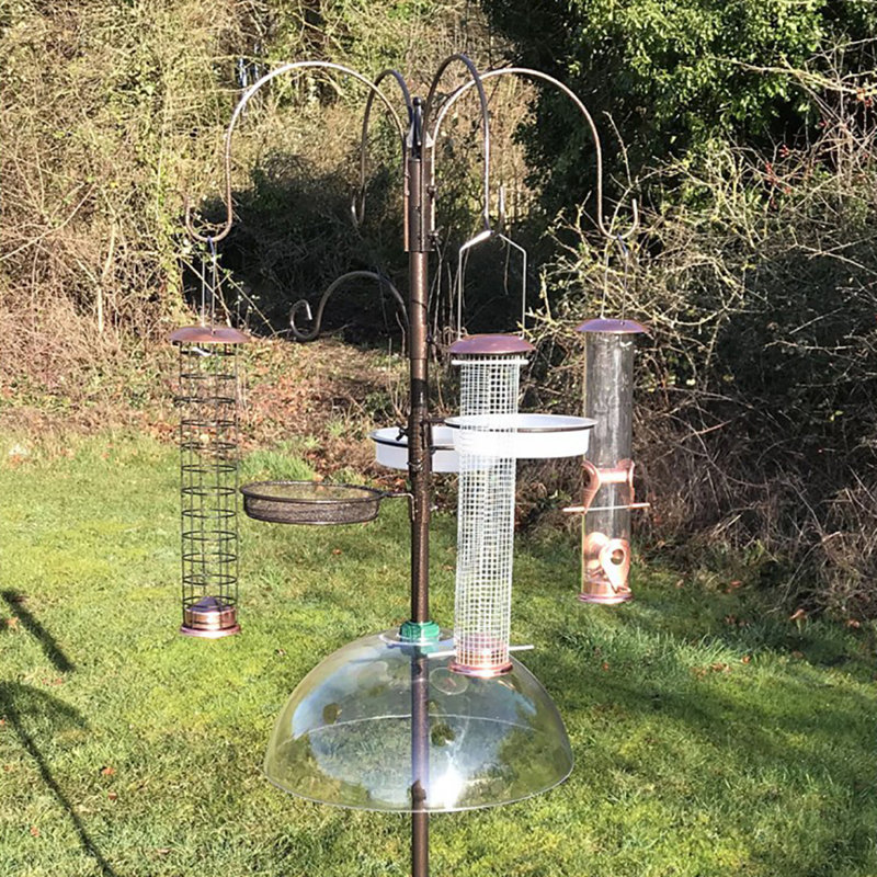 Pinder Steel Feeding Station