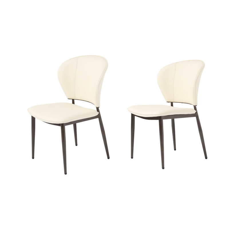 Side Chair Dining Chair (Set of 2)
