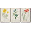 Fleurs des saisons IV, reproduction sur toile 3 pièces-91891298-91891299