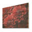 Crimson Mums Elegance Blooms - Art sur bois de pin naturel-1242178974